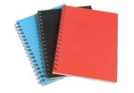 Spirax 512 Hard Cover Notebook A4 200 Pages Red