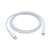 Apple USBC Lightning Cable 1m White